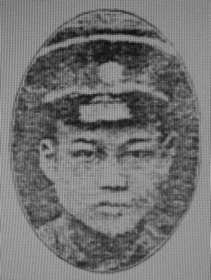 夏植